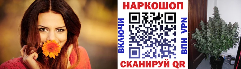 Купить закладку КОКАИН  Мефедрон  ГАШИШ  Арсеньев