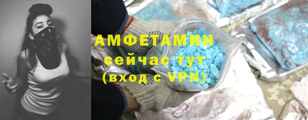 дмт Богданович