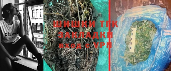 дмт Богданович