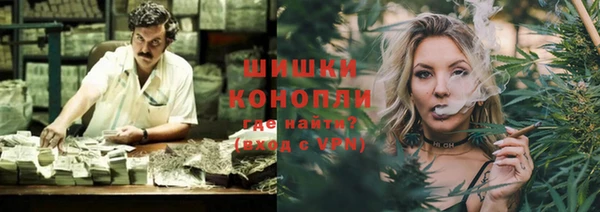 дмт Богданович