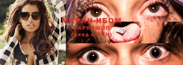 дмт Богданович